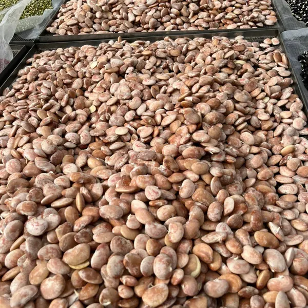 Ngũ cốc dinh dưỡng từ 22 loại hạt