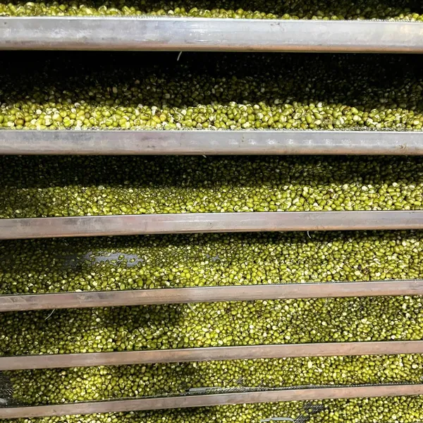 Bột Đậu Xanh Rau Má – Thức uống thanh mát, bổ dưỡng từ thiên nhiên 🌿