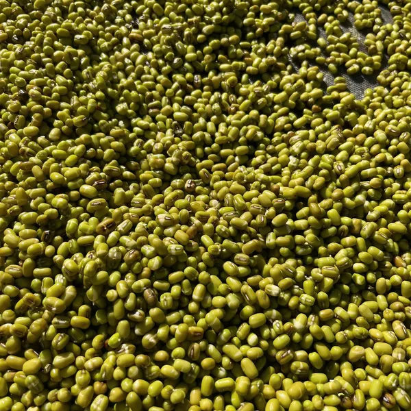 Bột Đậu Xanh Rau Má – Thức uống thanh mát, bổ dưỡng từ thiên nhiên 🌿