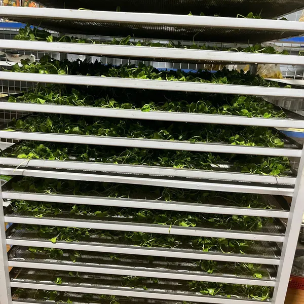 Bột Đậu Xanh Rau Má – Thức uống thanh mát, bổ dưỡng từ thiên nhiên 🌿