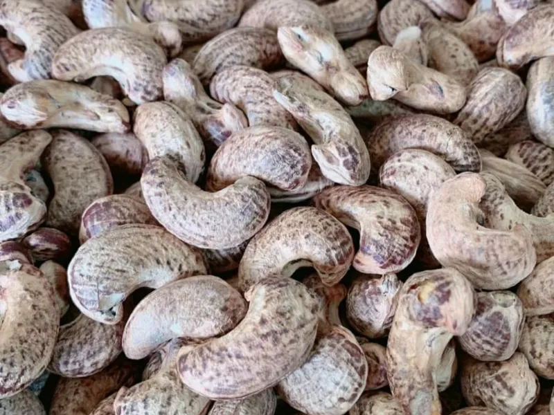 TÂM THƯ GỬI QUÝ KHÁCH HÀNG VÀ ĐỐI TÁC