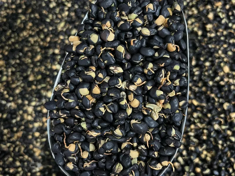 Bột đậu đen mè đen – Đen tóc, đẹp da, khỏe dáng