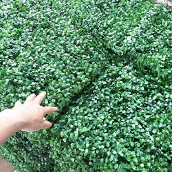 Cỏ Cải Xoan 0945127747