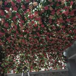 Giàn hoa hồng dây leo