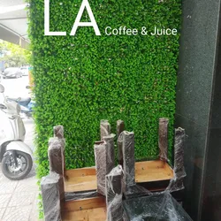 Combo 14 tấm cỏ tai chuột + khung