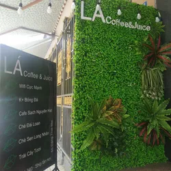 Combo 14 tấm cỏ tai chuột + 11 cây cỏ điểm