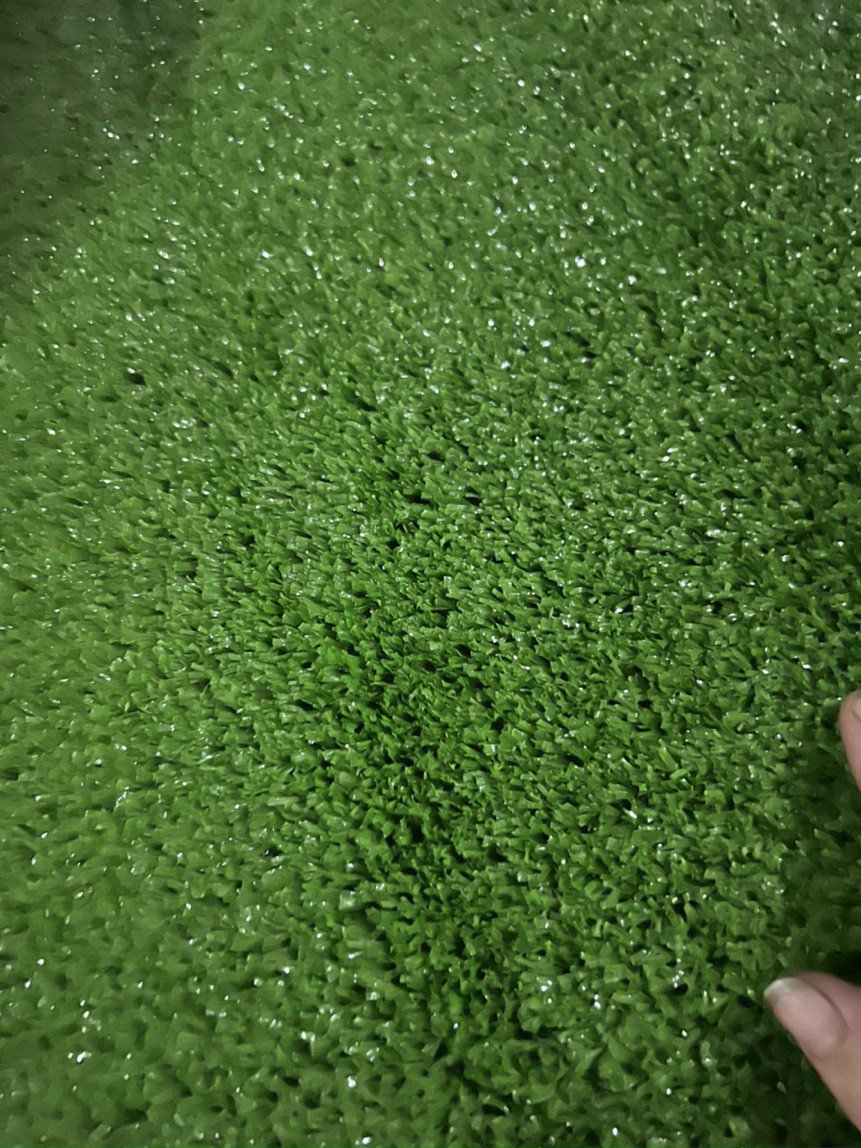 Thảm cỏ 1