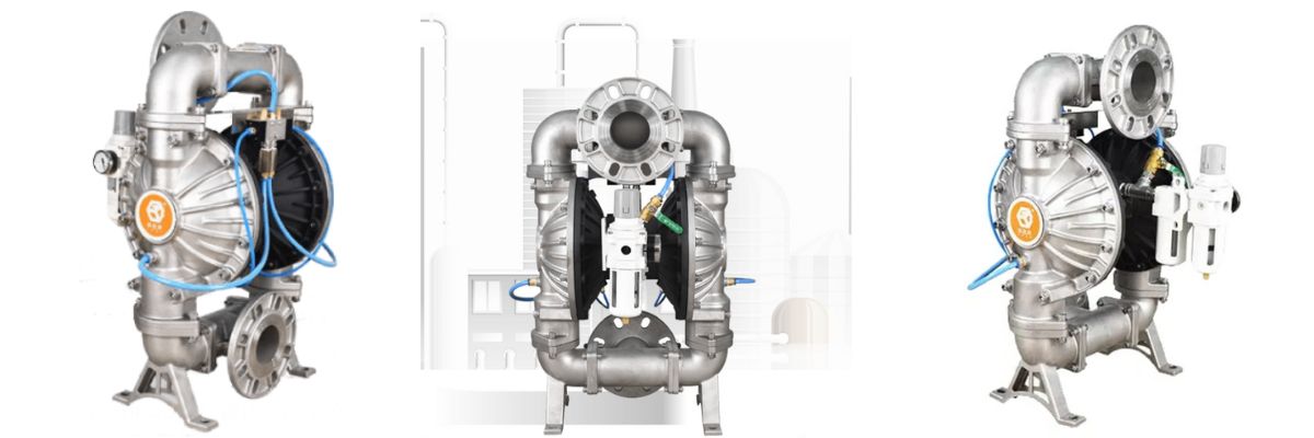 Máy bơm màng qbf3 80 100 ptff inox 2