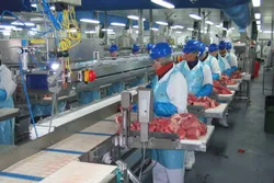 Công nghệ - Đòn Bẩy Cho Nhà Máy Thực Phẩm Chuẩn Quốc Tế