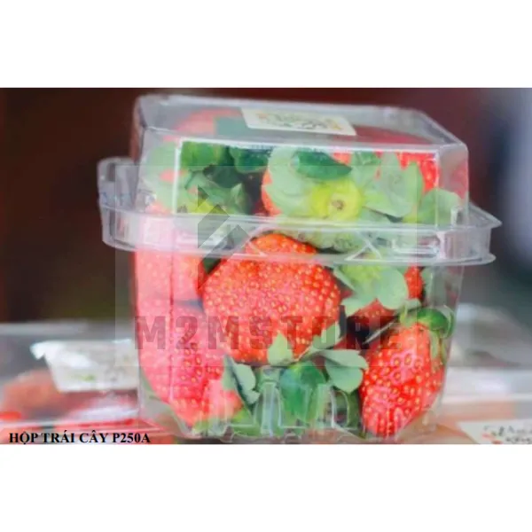 Fruit box P250A