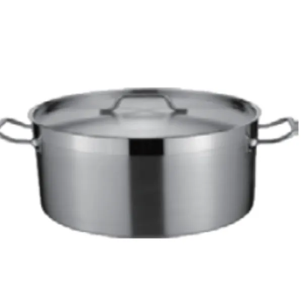 Stainless steel pot