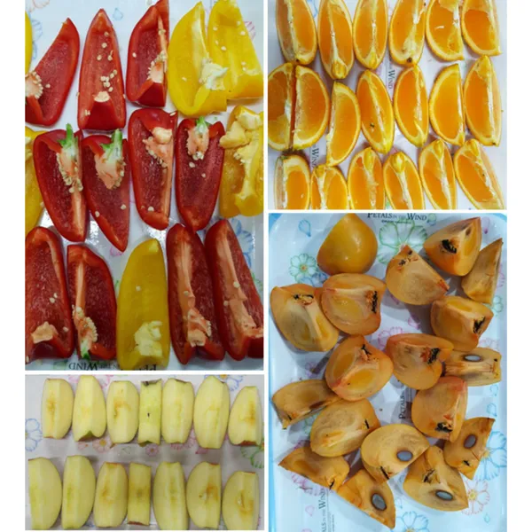 Fruit cutter FDS-100/200