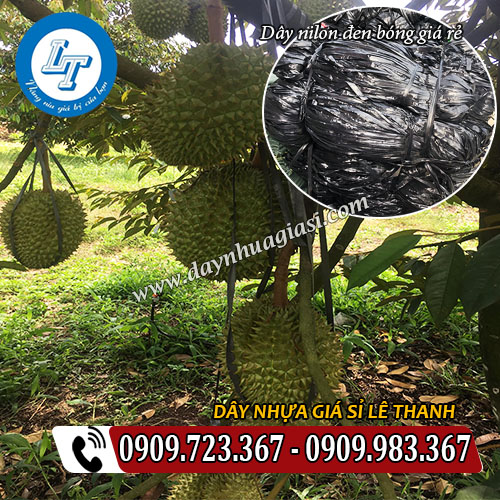 bán dây nilon đen bóng giá rẻ neo cột trái bán dây nilon đen bóng giá rẻ neo cột trái