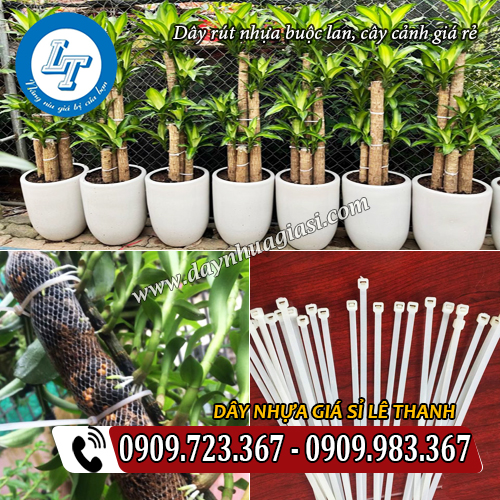 chuyên cung cấp dây rút nhựa buộc lan buộc cây cảnh giá rẻ chuyên cung cấp dây rút nhựa buộc lan buộc cây cảnh giá rẻ