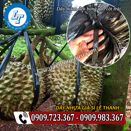 cung cấp dây nilon đen bóng bản lớn giá rẻ neo cột trái cung cấp dây nilon đen bóng bản lớn giá rẻ neo cột trái