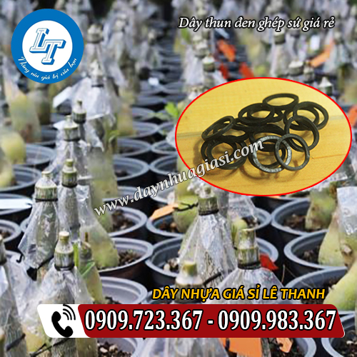 cung cấp dây thun đen ghép sứ giá rẻ tận xưởng cung cấp dây thun đen ghép sứ giá rẻ tận xưởng