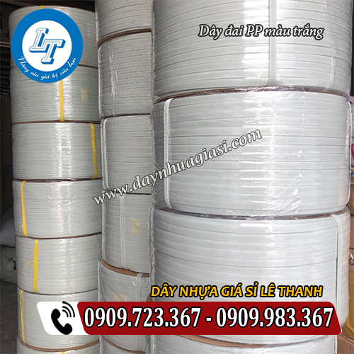 dây đai nhựa pp màu trắng giá rẻ sẵn số lượng dây đai nhựa pp màu trắng giá rẻ sẵn số lượng