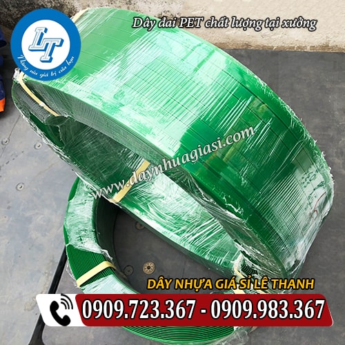 dây đai pet chất lượng đóng cuộn đẹp mắt dây đai pet chất lượng đóng cuộn đẹp mắt