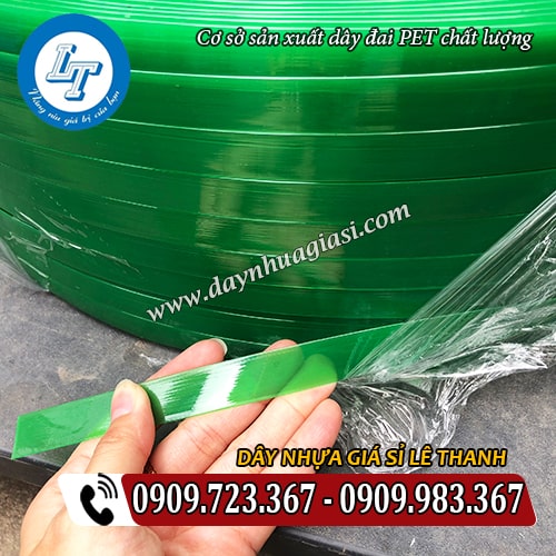 dây đai pet chất lượng màu xanh trơn tại xưởng lê thanh dây đai pet chất lượng màu xanh trơn tại xưởng lê thanh