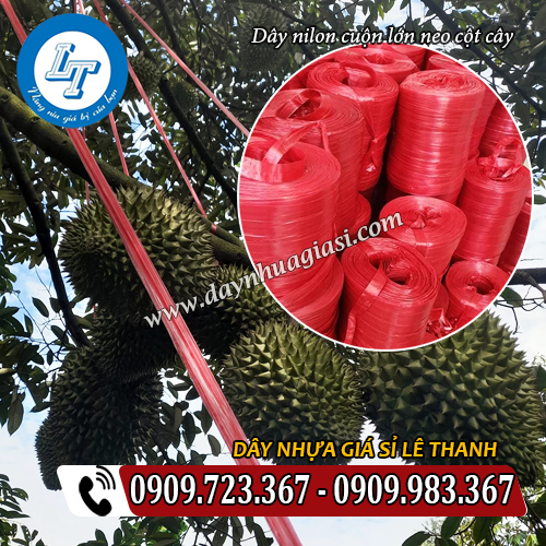 dây nilon cuộn lớn giá sỉ rẻ neo cột cây cành dây nilon cuộn lớn giá sỉ rẻ neo cột cây cành