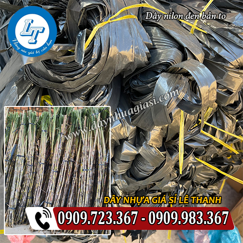 dây nilon đen bản to giá rẻ cột bó mía dây nilon đen bản to giá rẻ cột bó mía