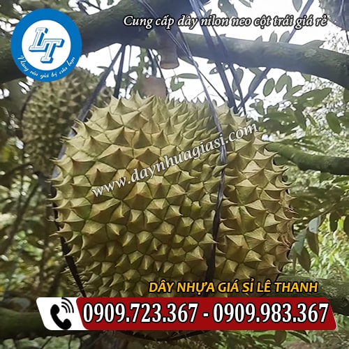 dây nilon đen sợi dùng neo cột trái dây nilon đen sợi dùng neo cột trái