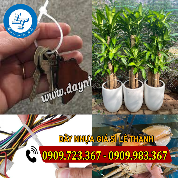 SỈ DÂY RÚT NHỰA TẠI TỈNH TIỀN GIANG SỈ DÂY RÚT NHỰA TẠI TỈNH TIỀN GIANG