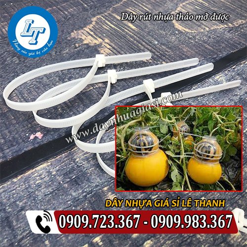 dây rút nhựa tháo mở được định hình trái bưởi dây rút nhựa tháo mở được định hình trái bưởi