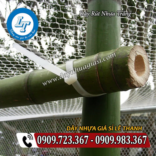 dây rút nhựa trắng buộc cố định vật dụng dây rút nhựa trắng buộc cố định vật dụng