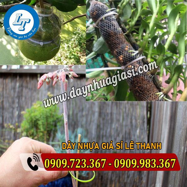 DÂY THÍT NHỰA ĐỦ MÀU BUỘC CÂY CẢNH dây thít nhựa buộc cây cảnh