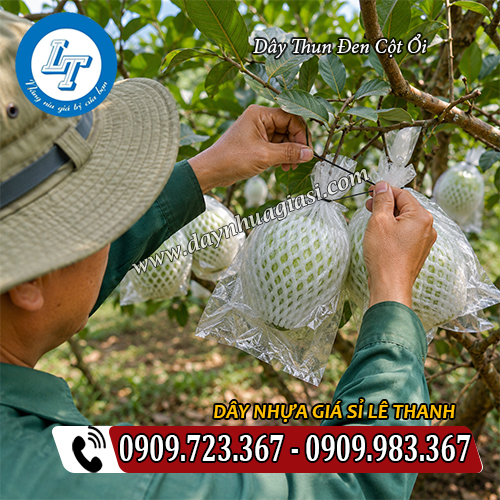 dây thun đen dùng buộc ổi tiện lợi dây thun đen dùng buộc ổi tiện lợi