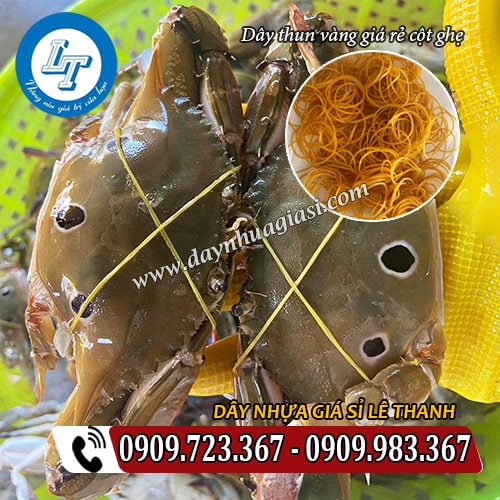 dây thun màu vàng cột ghẹ dây thun màu vàng cột ghẹ