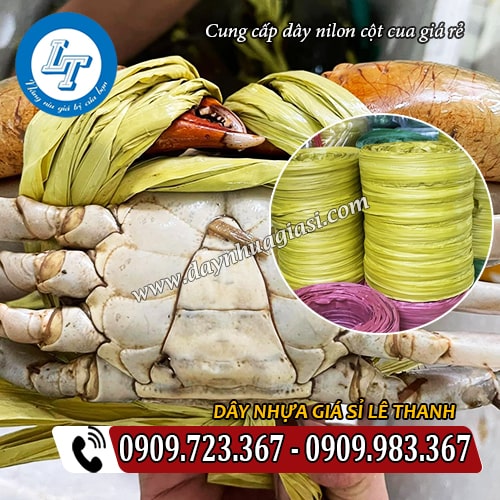 nơi bán dây nilon cột cua giá rẻ chất lượng nơi bán dây nilon cột cua giá rẻ chất lượng