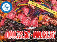 Báo giá sỉ rẻ dây ràng tại nhà sản xuất