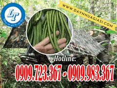 BÓ DÂY DÙ BUỘC LỀU CẮM TRẠI, CĂNG BẠT GIÁ RẺ