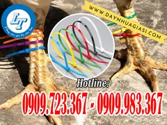 CHUYÊN BÁN DÂY RÚT NHỰA MÀU CỘT CHÂN GÀ GIÁ RẺ