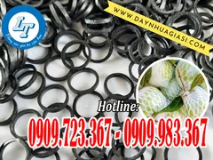 DÂY THUN ĐEN CỘT ỔI GIÁ RẺ Ở ĐÂU BÁN?