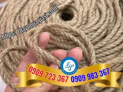 Dây chão là gì? ở đâu bán sỉ rẻ dây chão chất lượng?