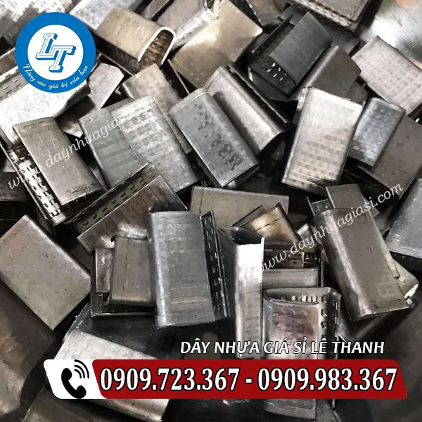 BỌ SẮT CÓ GAI