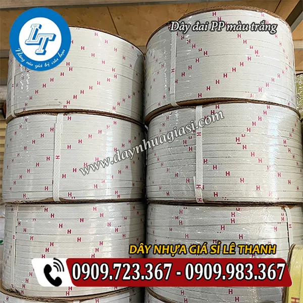 DÂY ĐAI PP MÀU TRẮNG