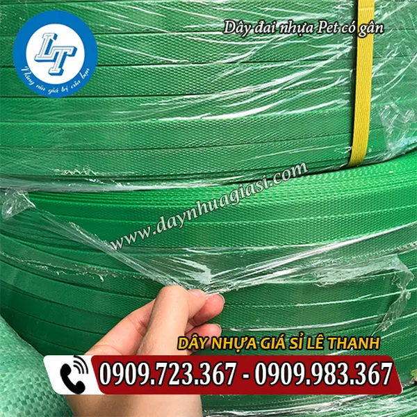 DÂY ĐAI NHỰA PET GÂN