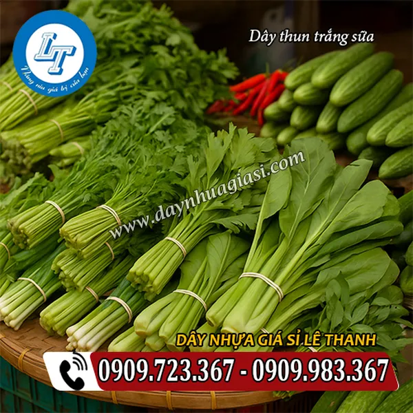 DÂY THUN TRẮNG SỮA