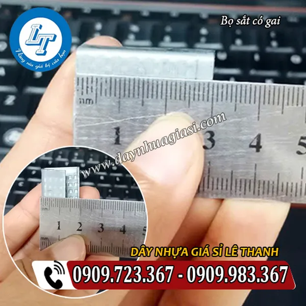 BỌ SẮT CÓ GAI