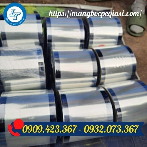 Màng ép ly trơn chất lượng giá sỉ Màng ép ly trơn chất lượng giá sỉ