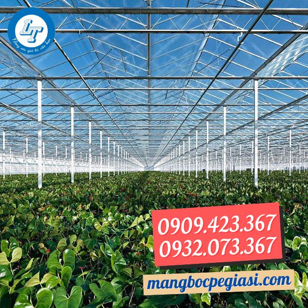 Mô hình nhà kính trồng rau, hoa Mô hình nhà kính trồng rau, hoa