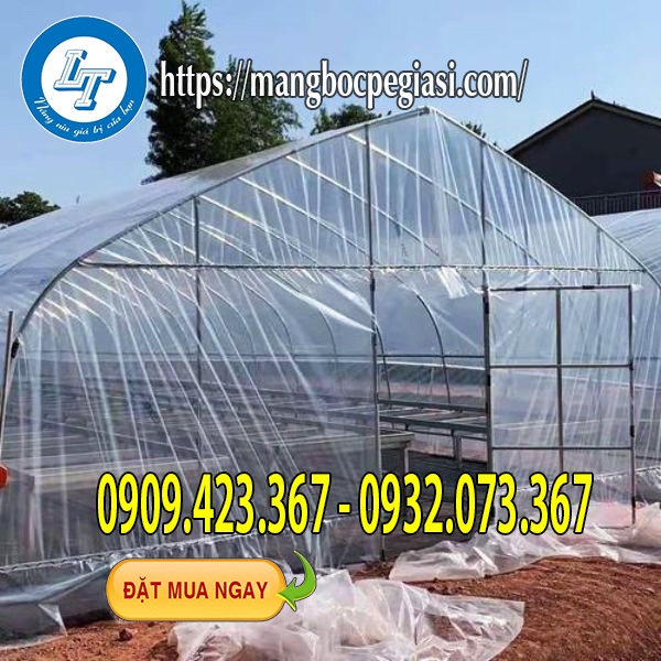 Mô hình nhà kính Mô hình nhà kính