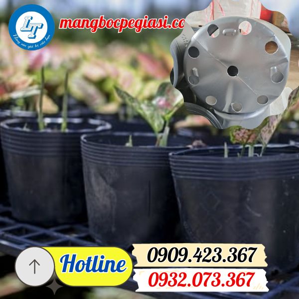 chậu nhựa trồng cây giá rẻ chậu nhựa trồng cây giá rẻ