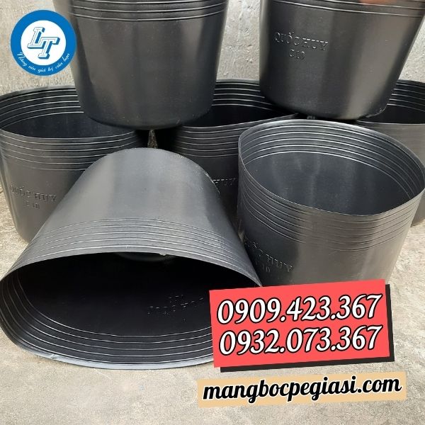 Chậu nhựa đen trồng cây Chậu nhựa đen trồng cây