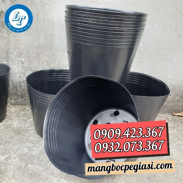 Chậu nhựa đen trồng cây C10 Chậu nhựa đen trồng cây C10