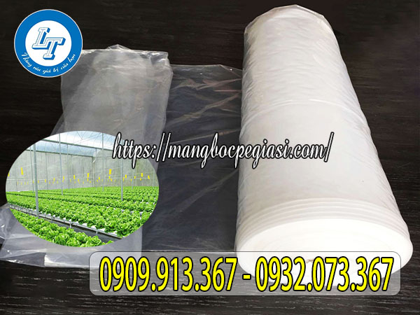 Màng nilon nhà kính chất lượng Màng nilon nhà kính chất lượng